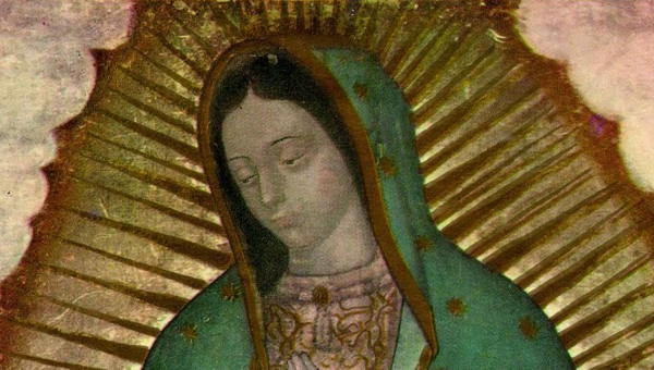 Programa Ver y Creer (13 de Diciembre) Tema: Análisis científico de la Virgen de Guadalupe